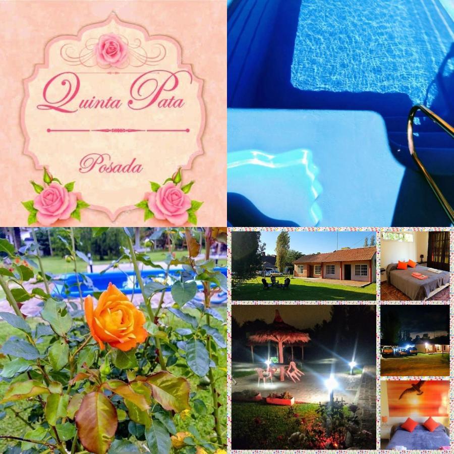 Posada Quinta Pata Ezeiza Exteriér fotografie